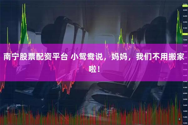 南宁股票配资平台 小鸳鸯说，妈妈，我们不用搬家啦！